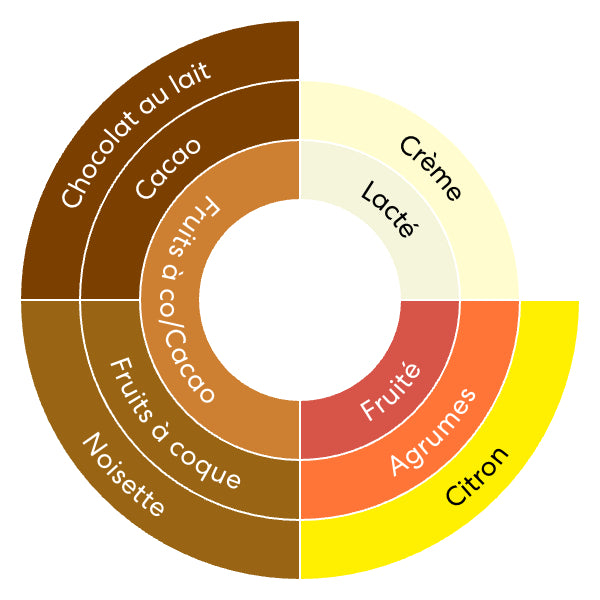 Colombia - Cauca Popayan - Washed - transporté à la voile !