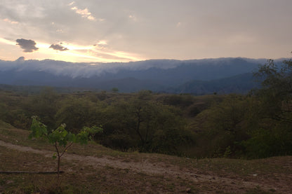 Colombia - Cauca Popayan - Washed - transporté à la voile !