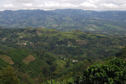 Colombia - Cauca Popayan - Washed - transporté à la voile !