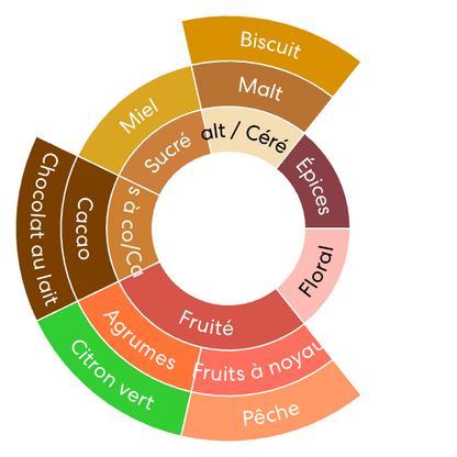 Ethiopia - Yirgacheffe - Washed - Bio