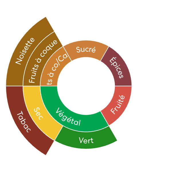 Idéal Expresso: Guatemala - Atitlán - Robusta SCA 81.75 - Washed - transporté à la voile !